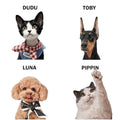 Custom Digital Pet Portrait