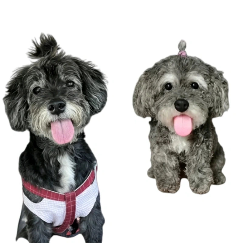 Custom Pet Pipe Cleaner