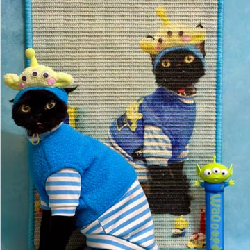 Custom Cat Scratcher