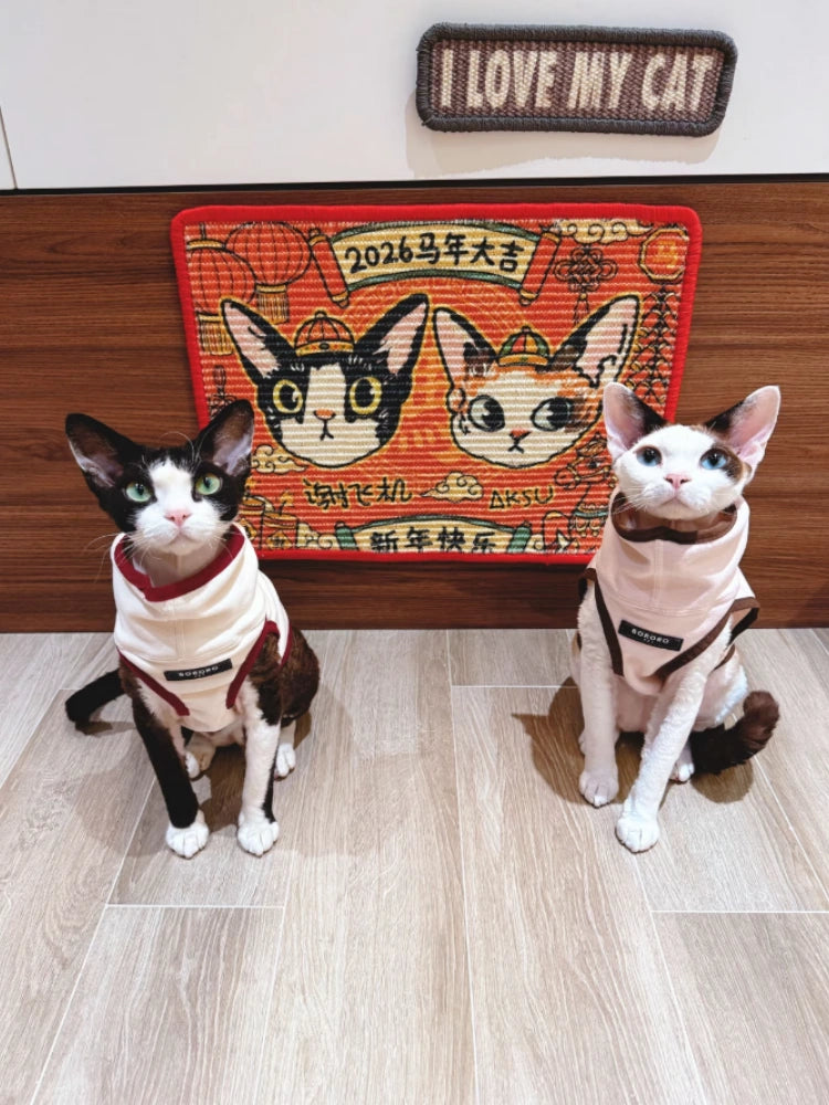 Custom Cat Scratcher Mat