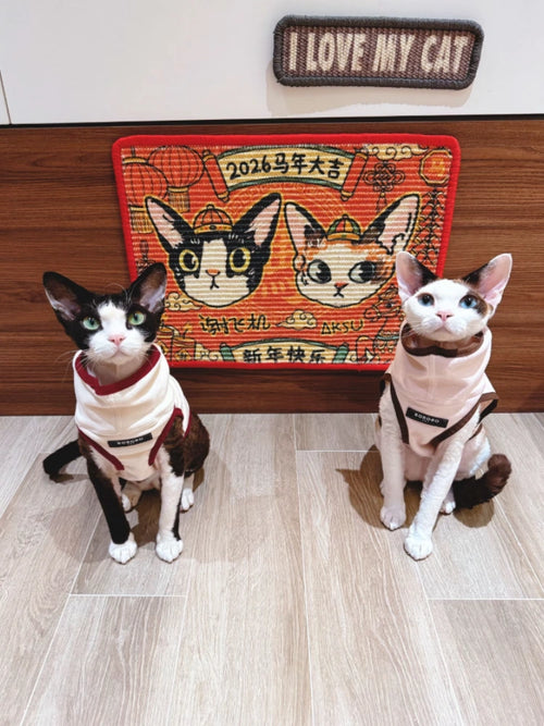Custom Cat Scratcher Mat