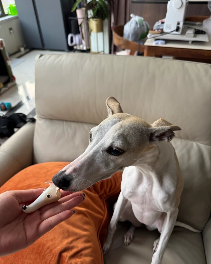 Custom Long Nose Dog Head Hanger