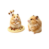 Custom Needle Felted Pet