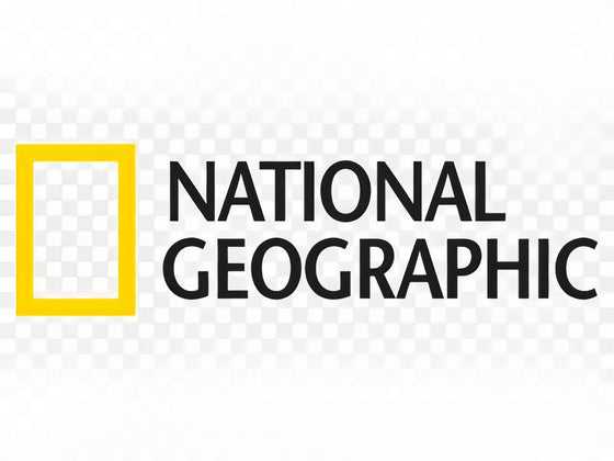 Media logo