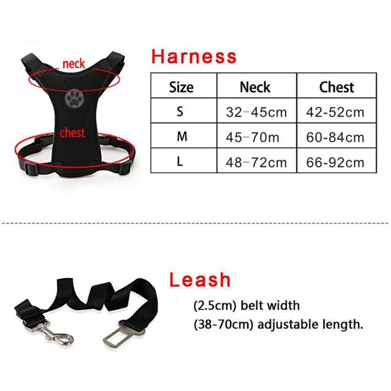 Harness Leash
