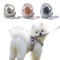 Harness with Leash