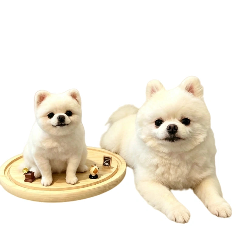 Custom Needle Felted Pet